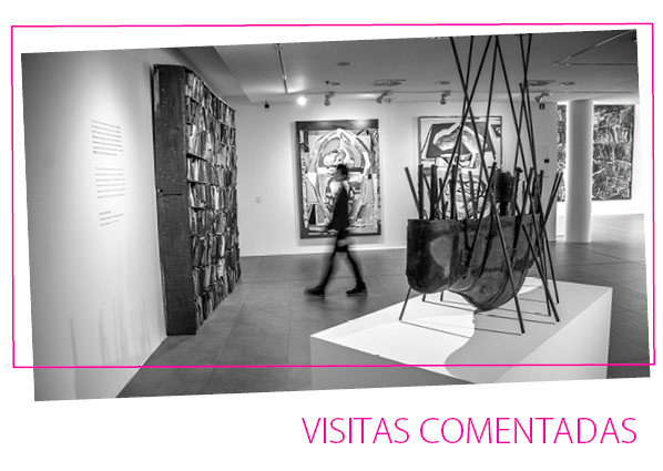 Visitas comentadas
