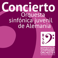 Bammentaler Symphonie Orchester