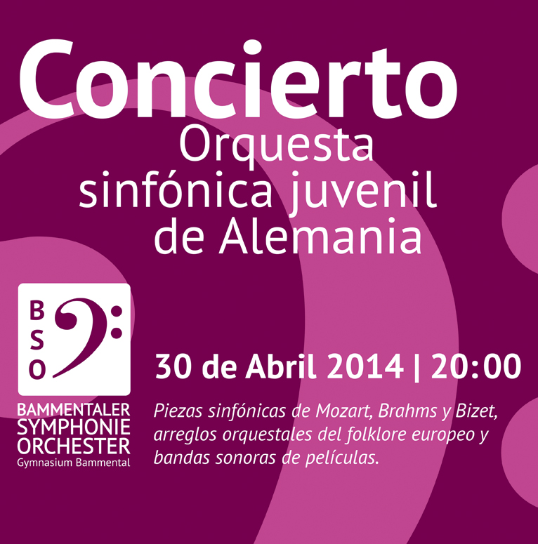 Bammentaler Symphonie Orchester