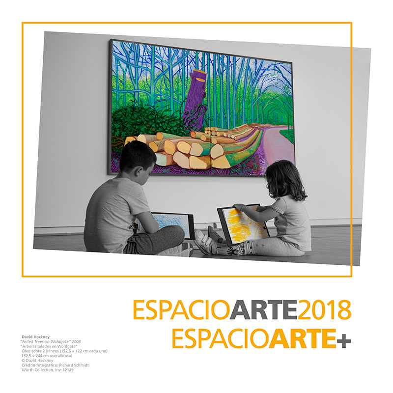 Espacio Arte 2018